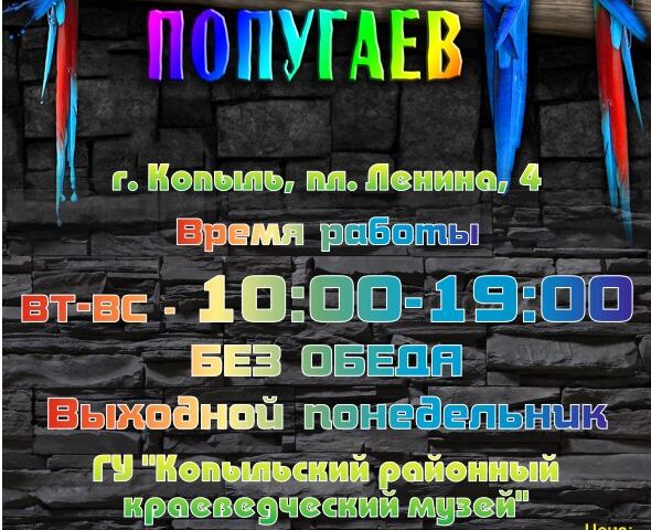 Мир больших попугаев